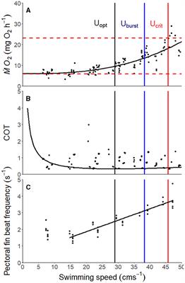 The effect of progressive hypoxia on swimming mode and oxygen consumption in the pile perch, Phanerodon vacca